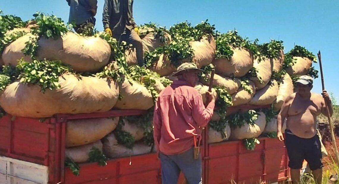 sequia-en-Misiones-y-los-yerbateros-1200x900-1-1140x620
